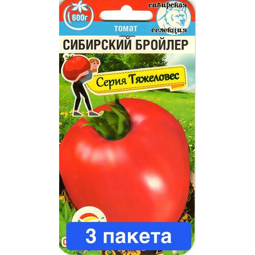 ���� ������ ������ ��������� ��� 