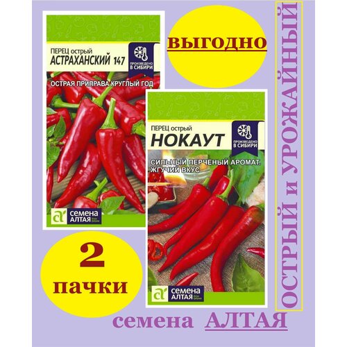 ���� ����� ����� ������ ������������+������ ������ ����� (2 ��������) ������ ������