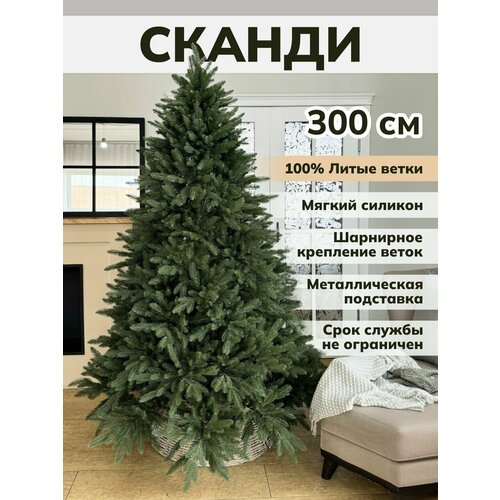 ���� ���� ������������� ���������� ����� ��������� ��� ��������� ������ ������