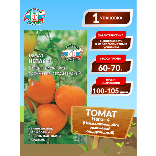 ���� ������ ������ ����� 4 ��������� ����������� ������ ������