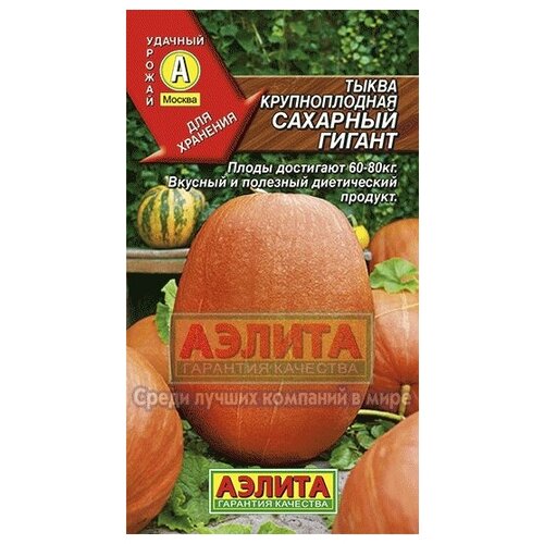 ���� ������. ����� ������������� 