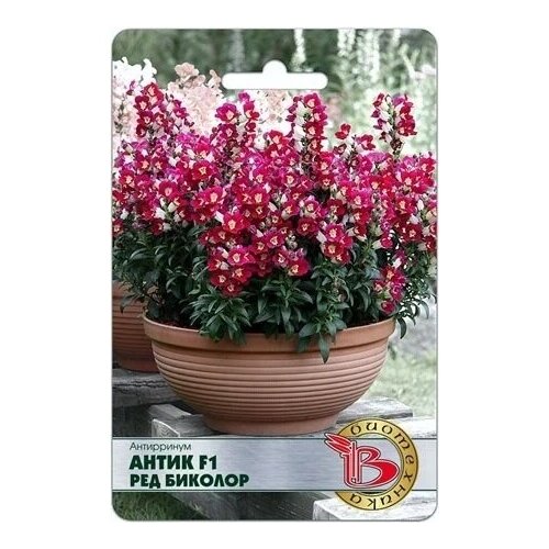 ���� ���������� ����� F1 ��� �������, ����� 20 �� ������ ������