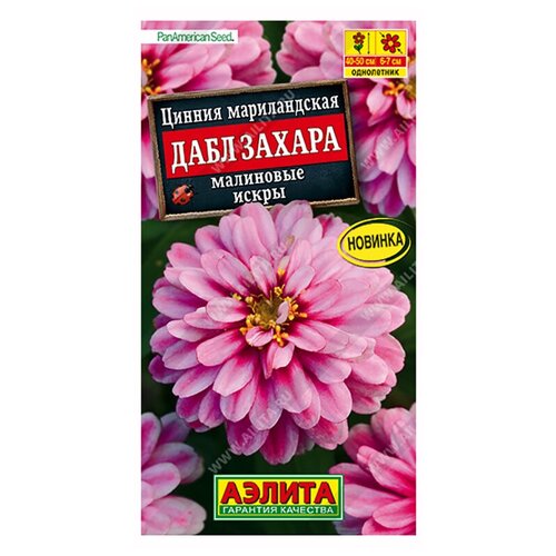 ���� ������. ������ 