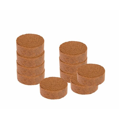 ���� �������� ��������� ��� �������, 10 ����, d 25 ��, ����� ��� ������������ ����� ����� ������, ������ � ������ �������� ������ ������