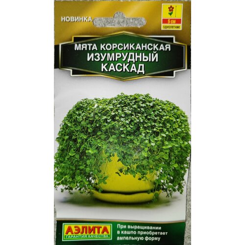 ���� ���� ������������ ���� ���� ������ ������