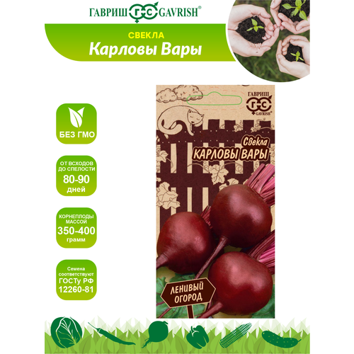 ���� ������ ������ ������� ���� - ����� ������� ������ 3 ��. ������ ������