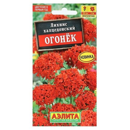 ���� ������ ������ ������ ������, 0,1 � ������ ������