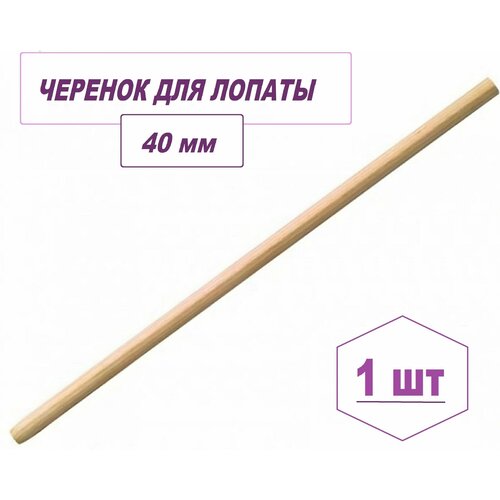 ���� ������� ��� ������, ������� 4 ��, ����� 120 �� ���������� ��� ������-���������� ���������. �� ��������, ��������� ��� ��� � ����� ����� ����, ������� ������ ������