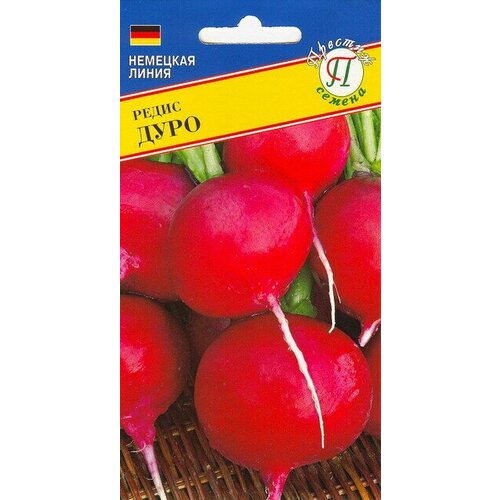 ���� ����� ����. ������������ ����. ��������� �������� �����, �������, ��������� � �������� �� 10 ��, ������ 18-25 ��. ������ ������