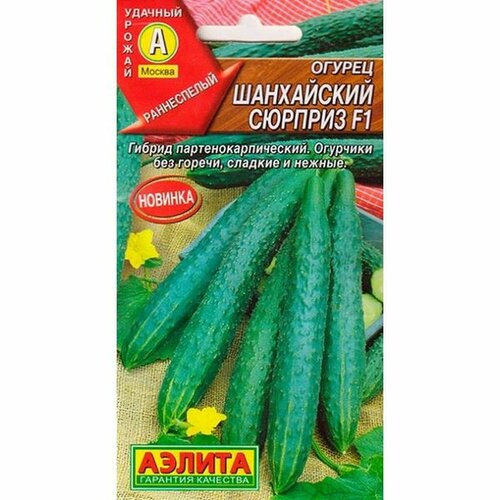 ���� ������ ������ ���������� ������� F1 ����, �����������, (������) 10�� ������ ������