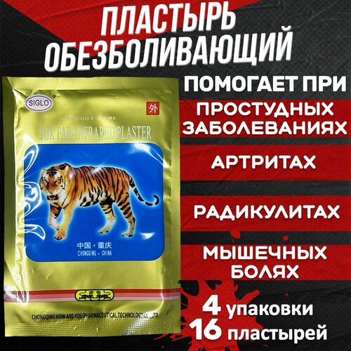 ���� �������� �������������� ���������, �� �������� ������, �������� ������������� �� ���� � ����� � ��������, ��������, 4 �������� 16 ���� ������ ������