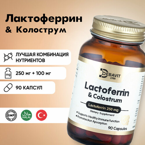 ���� ����������� 250 + ��������� 100 �� / ��� ���������� / 90 ������ / ������ / ������ ������ ������