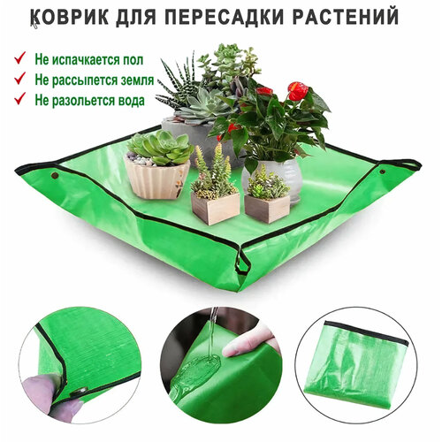 ���� ������ ��� ��������� �������� � ������ / ������ ��� ������� ������� / ��������� �������� / ������� ������ ������ ������