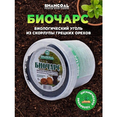 ���� ������� 1� ������������� ����� ������������ ��������� ������������� ������������ ��� ����� / ��������� ��� ���� / ���������� ����� �������� ������ ������