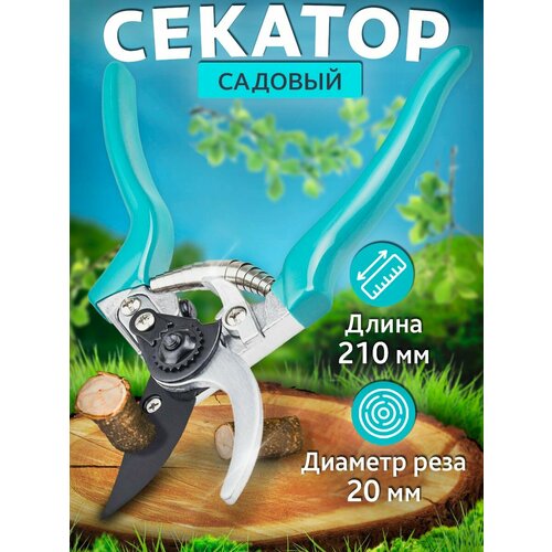 ���� �������� ��� ������� ������ ������