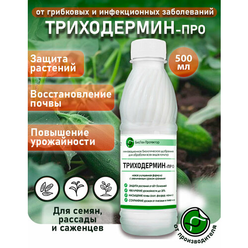 ���� ���������� ���������� - �����������-��� ������ 500 �� ����������� ��������� ��� �������� ������-���������. ���������� ������� ������ ������