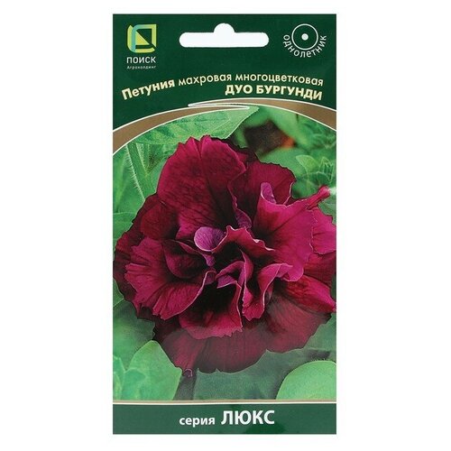 ���� ������ ������� ��� �������� 10 �� ������ ������