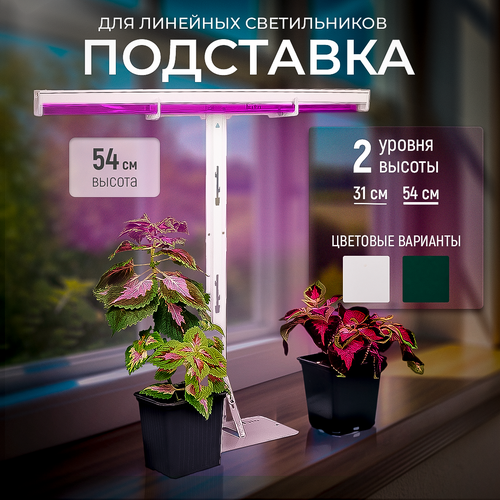 ���� ��������� ��� ���������, ��������� ��� ��������� 54 ��. �-��������, ����� ������ ������