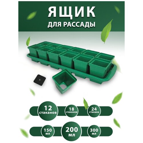 ���� ����� ������� ��� ������� � �������� 0,2 � 12 �� ������ ������