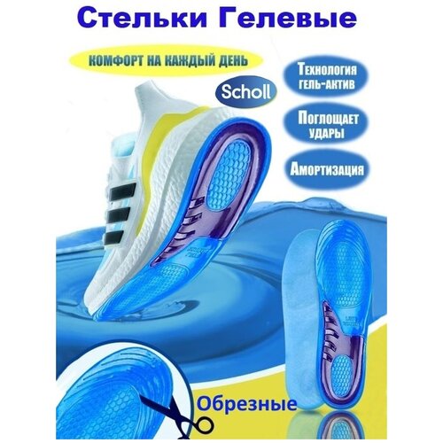 ���� ������� ����������� ������� ������ ��� ����� ���������� ������� � ������� �������������� ��������������, 42-48 ������ ������