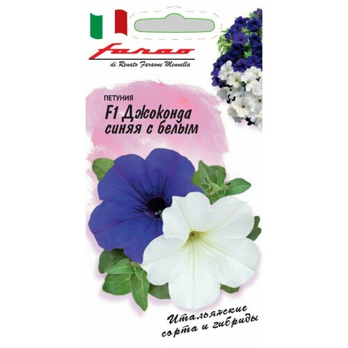 ���� ������ ������� �������� ����� � ����� ����� F1 (��������) ������������, ��������������� ��������, ����� �����, 7 ���� ������ ������