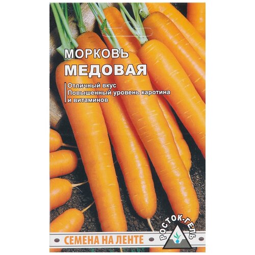 ���� ������ ������-���� ������� �������  �� ����� 8 � ������ ������