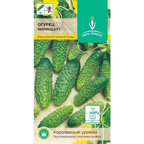 ���� ������ ������� F1. ������. ����������� ���� ��� ��������� ������ � ��������� ������. ���������������� ��������� 9-10 ��. ������, ��� ������ ������ ������