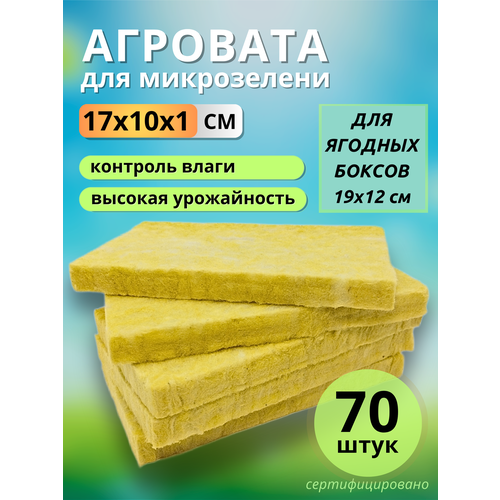 ���� �������� ��� ����������� �����������, 17x10�1 ��, 70 ���� ������ ������