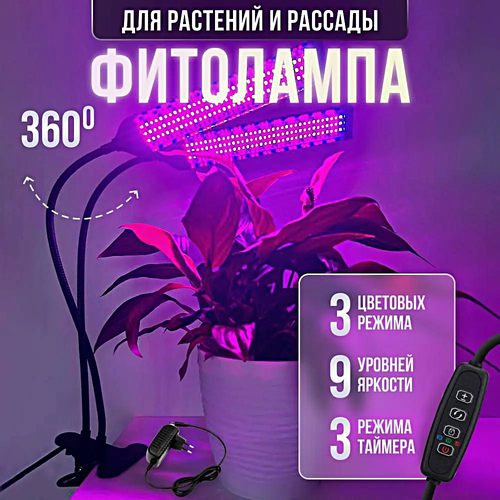 ���� ��������� ������������� ��� �������� � �������, ���������������� ����� �� �������� ��� �������� ����, ����, 2 ����� ������ ������