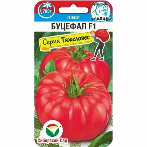 ���� ������ ����� ������� F1 (��������� ���) 15�� ������ ������