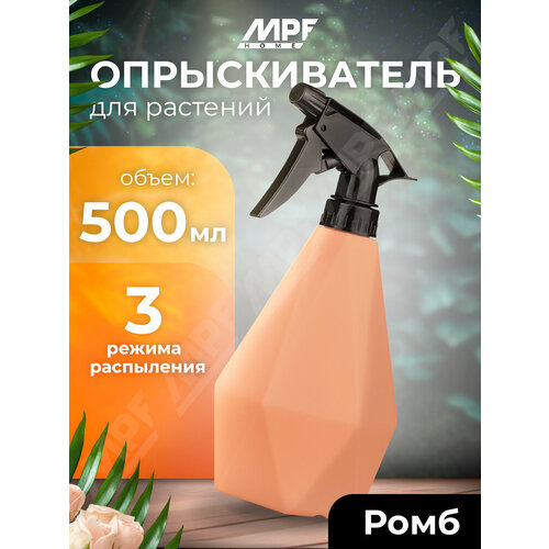 ���� ������������� ����, 500 ��, ���������� ������ ������