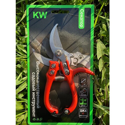 ���� �������, ������� ���������� ��� ������, ��������, ������ /���������� �����/ ������ ������