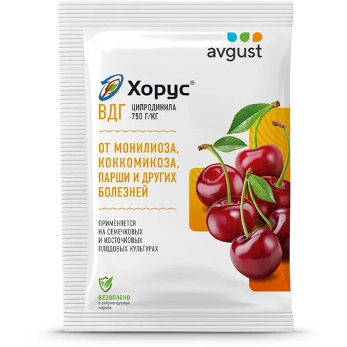 ���� Avgust �������� �� �������� ���������� � ����������� �������� ������� �����, 2 � ������ ������