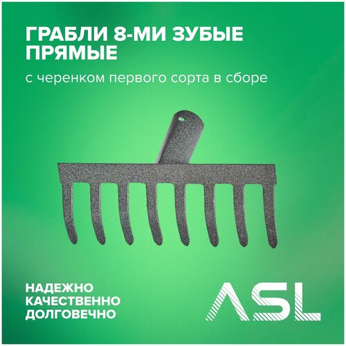  ASL  8-       1200    -     , -, 