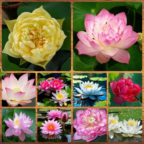 ���� ������ ������ ������ ���� ������ 10 ��. ������ ������