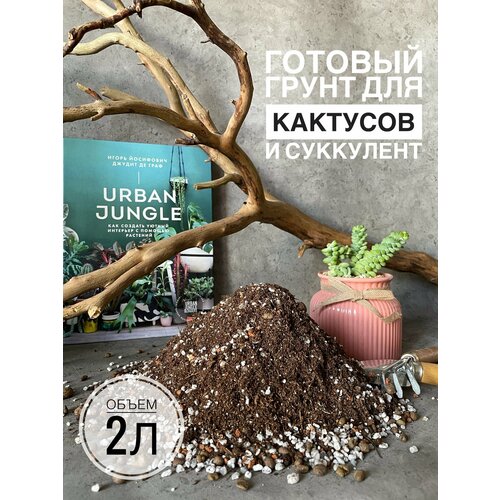 ���� ������� ����� ��� ����������� � �������� Terracotta Plants � �������� 2 ����� ������ ������