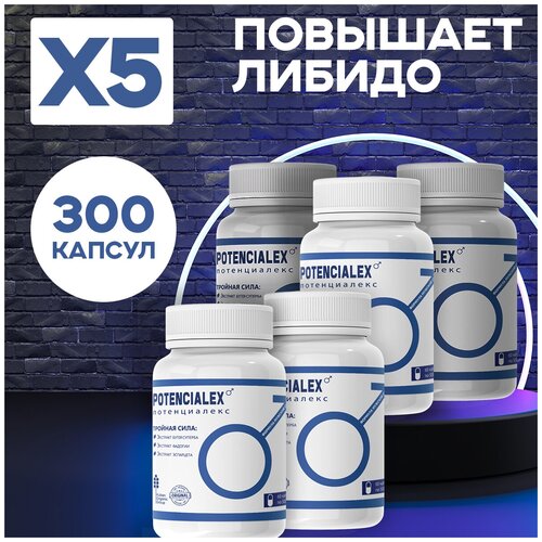 ���� ������� ����������� ������ �������� ������ ������