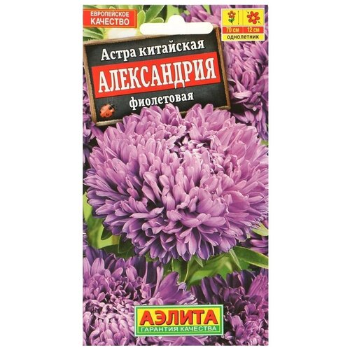 ���� ������� ����� 