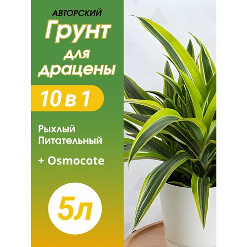 ���� ����� ��� ������� 5 � ������� ������ ������