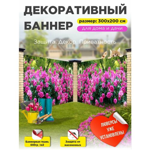 ���� ��������� ������ �� ����� 300 �� � 200 �� � ��������� ������ ������