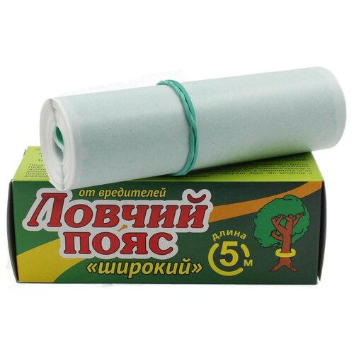 ���� ���� ��������� ������ ���� ��� �������� �� ������� ���������� 5�, 135 � ������ ������