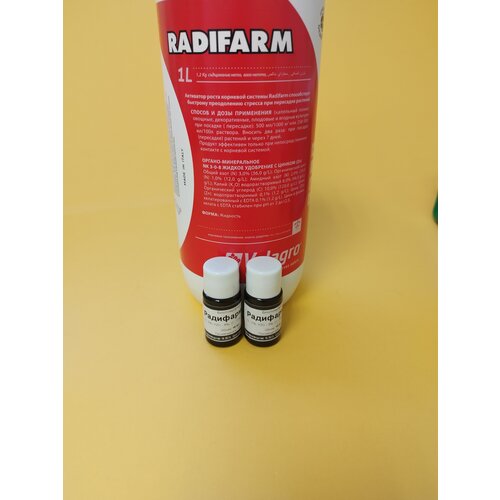 ���� ���������� �������� �������� ������� �������� 2 �� �� 10 �� ������ ������