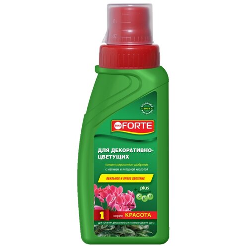 ���� ��������� ������ 