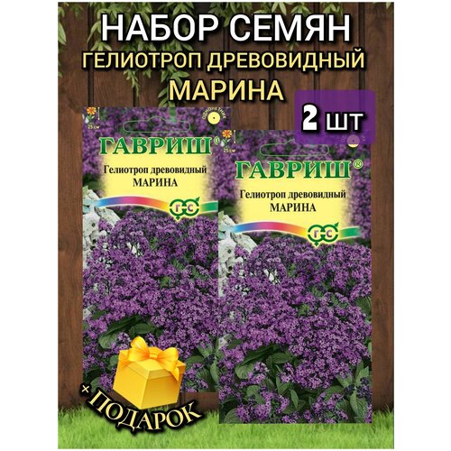 ���� ������ ������ ������, ��������� ������, 2 �� ������ ������