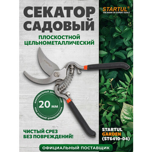 ���� ������� ����������� ������������������� STARTUL GARDEN (ST6410-04) ������ ������