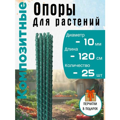 ���� ����� ��� �������� ������� 10��, 120��, 25�� ������ ������