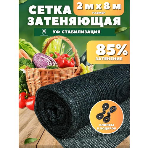 ���� ����� ���������� �������, ��������� 85%, ������ 2�8� ������ ������