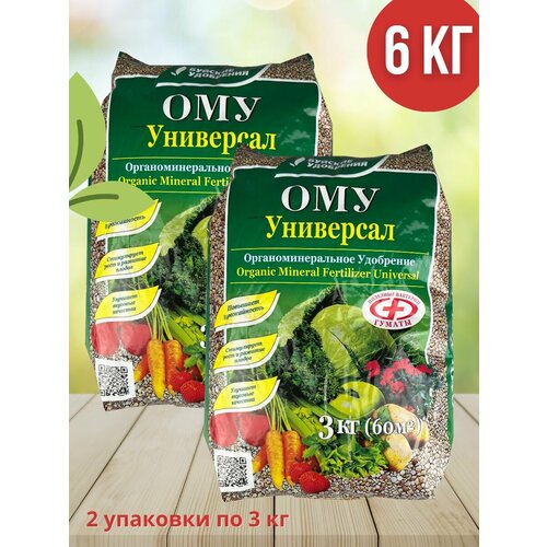 ���� ��� 