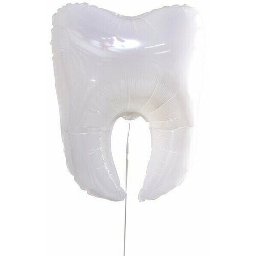 ���� ��� �������������� 18