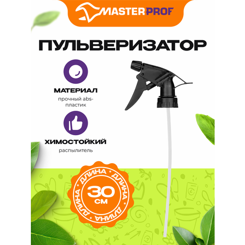 ���� ������� MasterProf, �����������, ����� 30 ��, �������, ������ ������ ������
